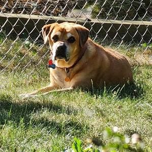 Meet your Posher, Kirk